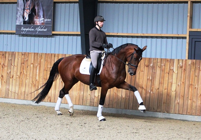 Best Trav Forben