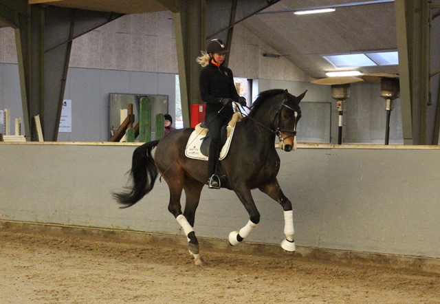 Estano O Galop