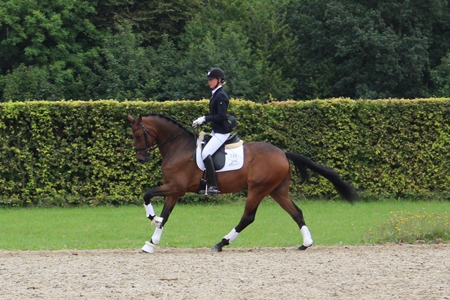 Galop