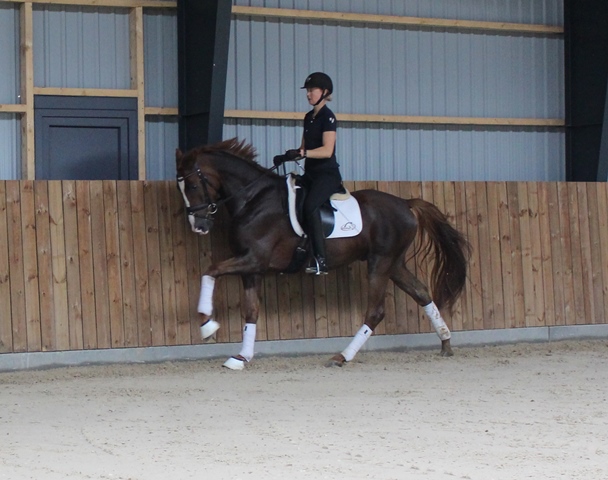 Galop1