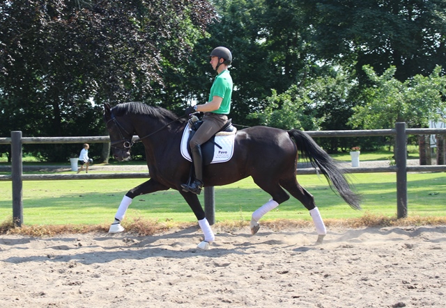 Livia Eg Trav