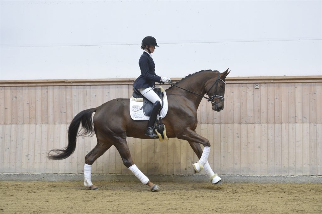 Grevens Replay 1024x681