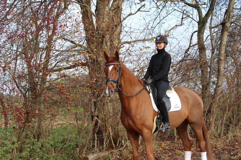 IMG 2121 1024x683