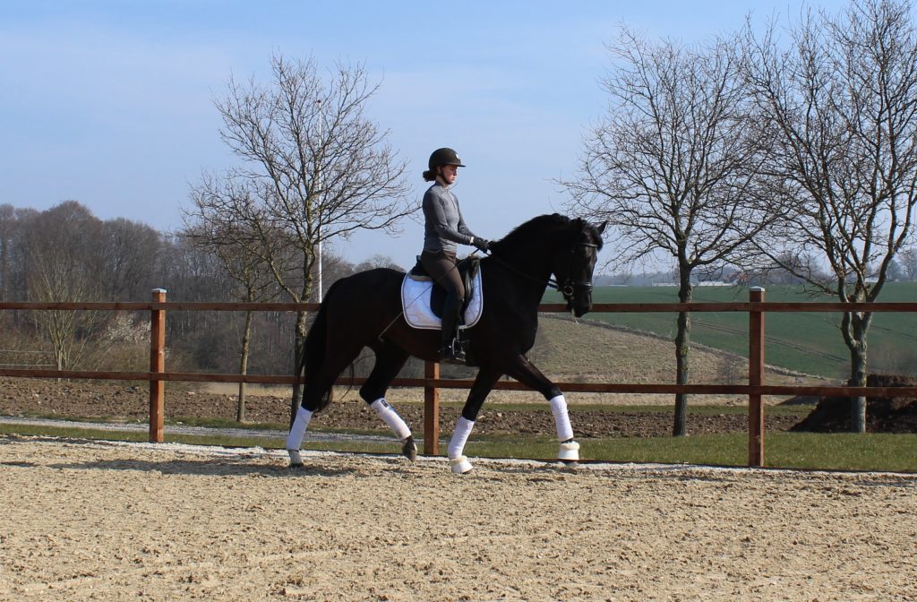 Clas Trav Rrg 1024x672