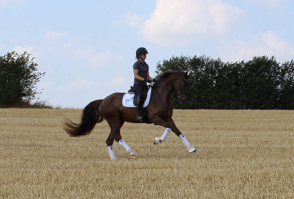 Finally Galop Stub1 1024x693