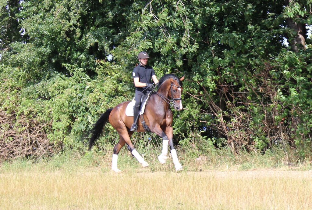 Prime Time Galop Ude Busk 1024x688