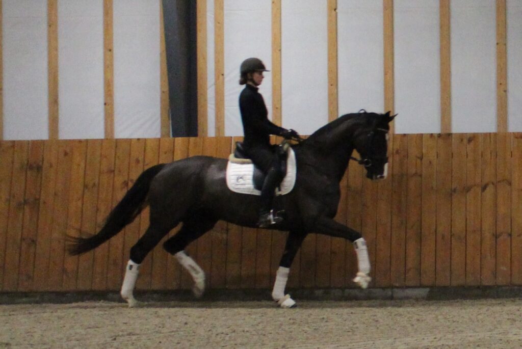 Faschination Trav Rg 1024x685