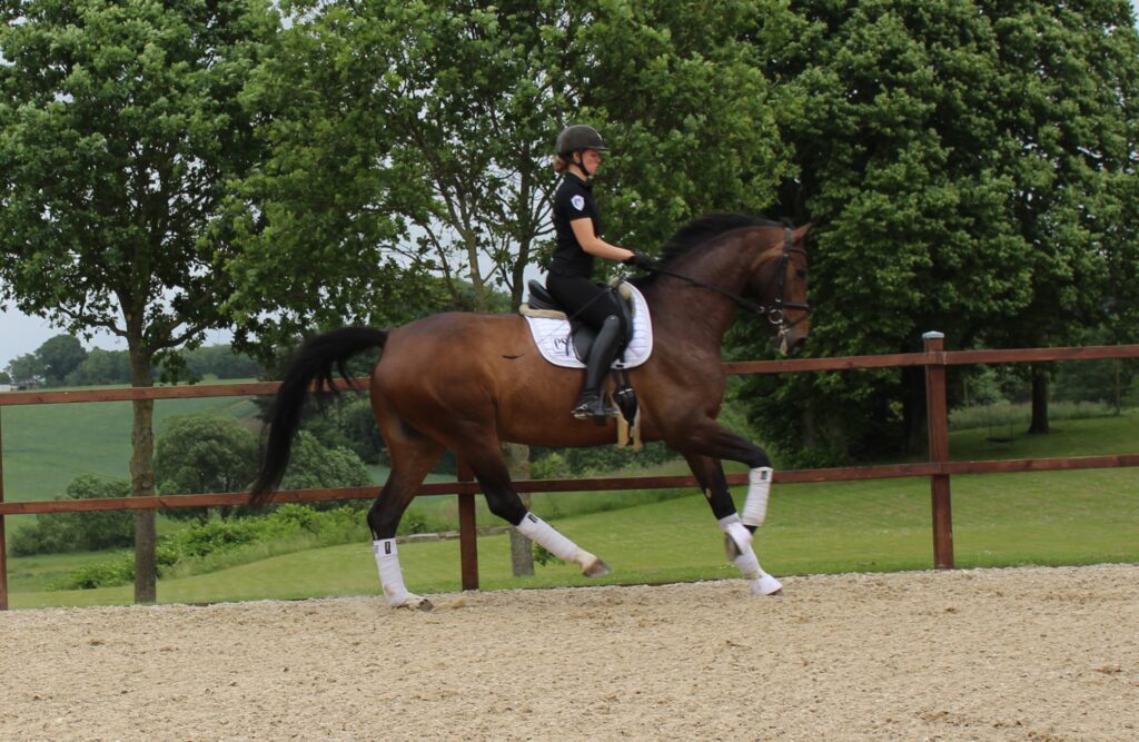 Shakira Galop Rrg 1024x667