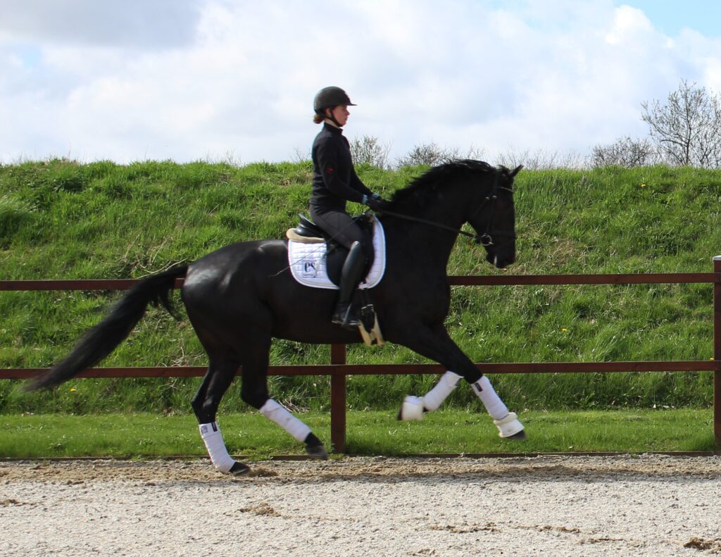 GB Galop Rg 1024x791