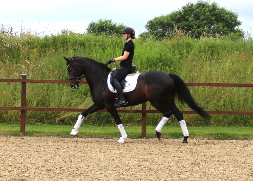 Olympia Trav Go 1024x732