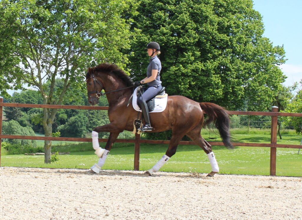 Trio Galop Rgo 1024x748