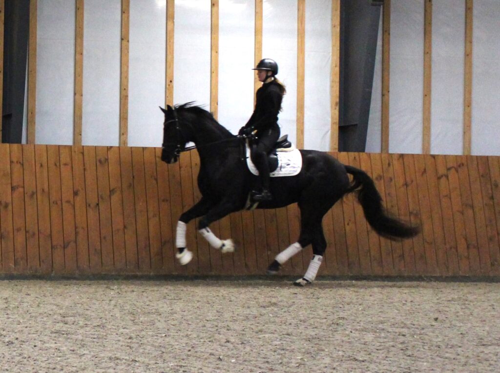 Gatsby Galop 1024x765