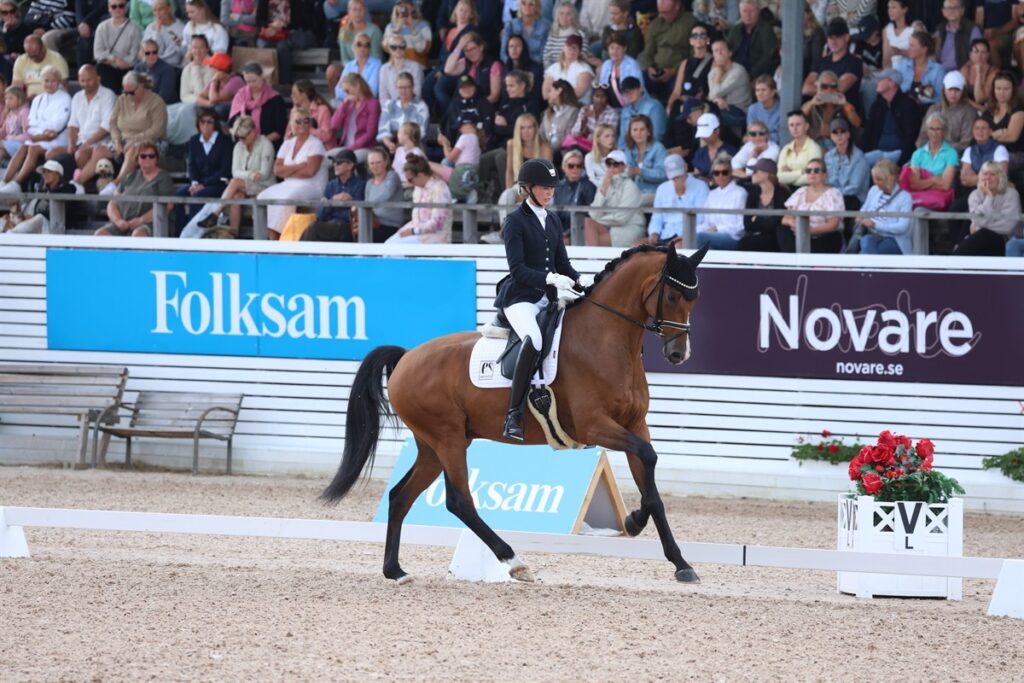 Galop Falsterbo 1024x683